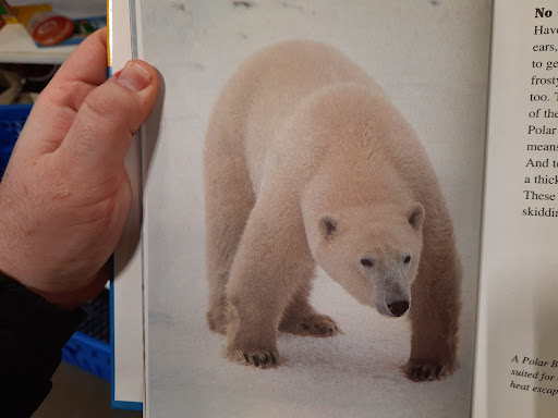 Thrift Store «Goodwill - Coon Rapids», reviews and photos