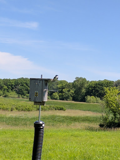 Nature Preserve «Volo Bog», reviews and photos, 28478 W Brandenburg Rd, Ingleside, IL 60041, USA