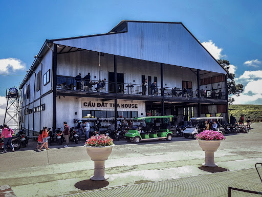 Đồi chè Cầu Đất Farm