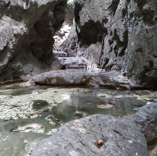Kolam Renang di Kabupaten Raja Ampat: Menikmati Keindahan Kolam ajellypool dan kolam air ajelly