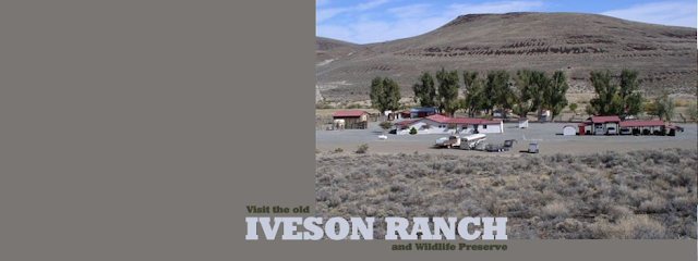 The Iveson Ranch