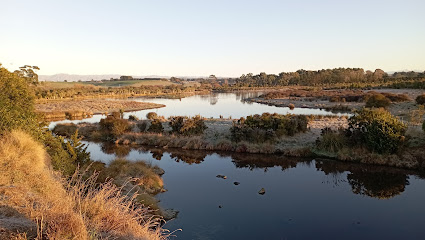 Otipua Wetland