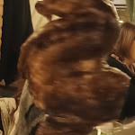 Photo n°1 de l'avis de Mauro.a fait le 02/03/2023 à 11:14 sur le  Bocon Divino à Camposampiero