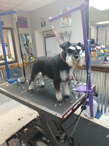 Pet Groomer «Affordable Family Pet Grooming», reviews and photos, 222 N Main St, Fond du Lac, WI 54935, USA