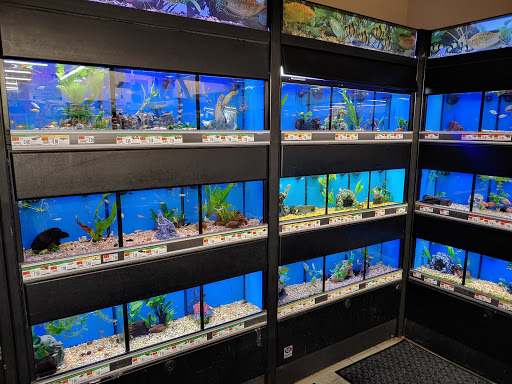 Pet Supply Store «Pet Supplies Plus», reviews and photos, 305 Sidney Baker St S #400, Kerrville, TX 78028, USA