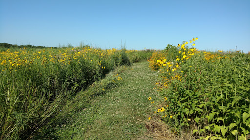 Banquet Hall «Quail Ridge Lodge», reviews and photos, 24 Columbine Ln, Wentzville, MO 63385, USA