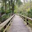 Cross Seminole Trail - Big Tree Park