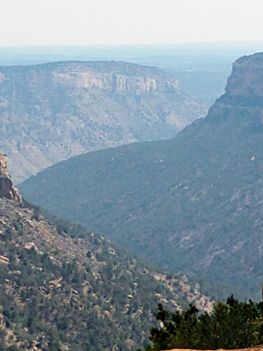 Archaeological Site «Cliff Palace», reviews and photos