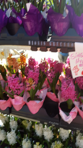 Produce Market «Hudson Farmers Market», reviews and photos, 3437 John F. Kennedy Blvd, Jersey City, NJ 07307, USA