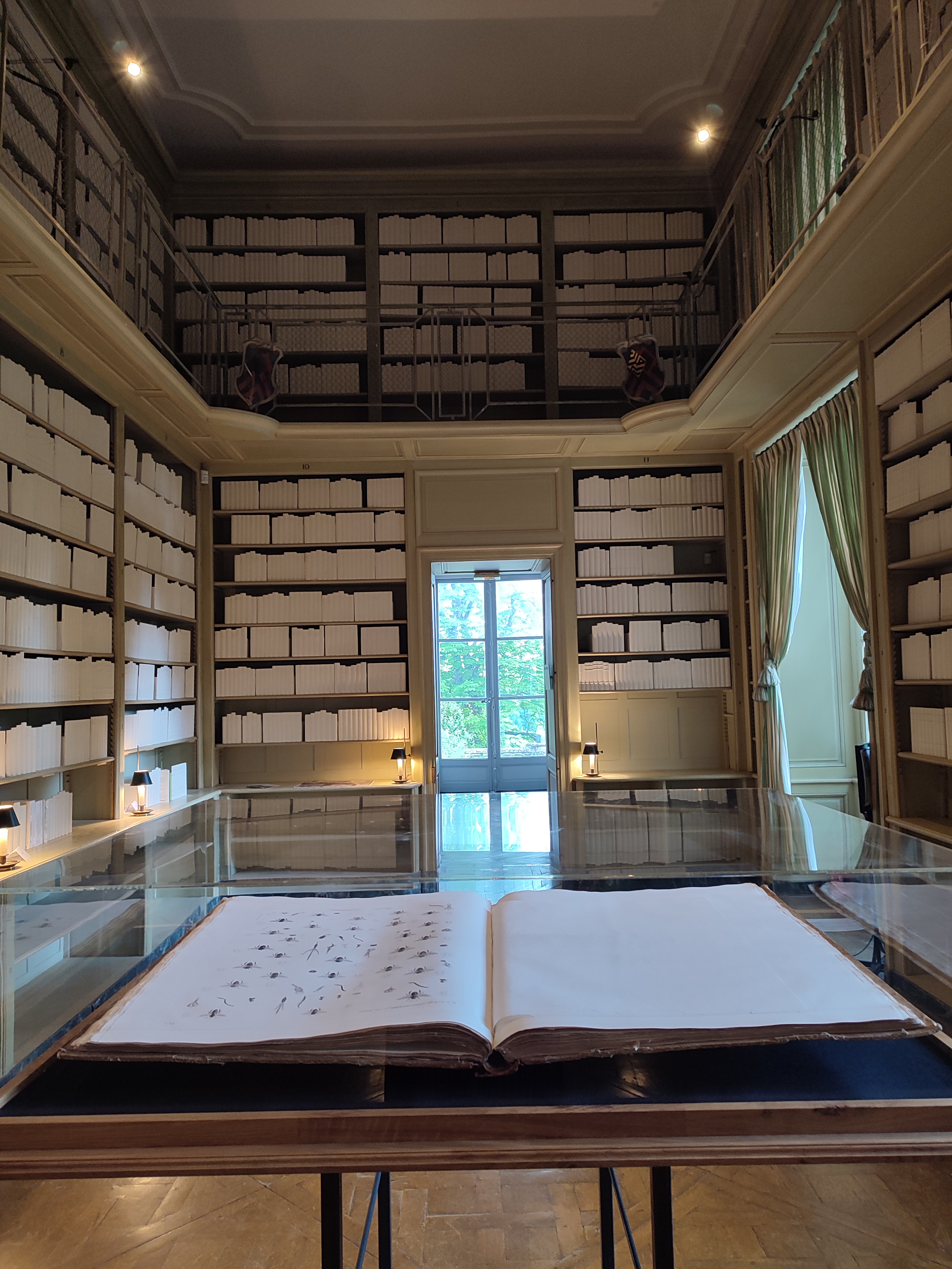 Photo n° 4 de l'avis de Sidonie.r fait le 11/06/2023 à 06:35