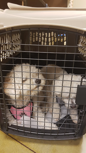 Pet Supply Store «PetSmart», reviews and photos, 2141 N Rose Ave, Oxnard, CA 93036, USA