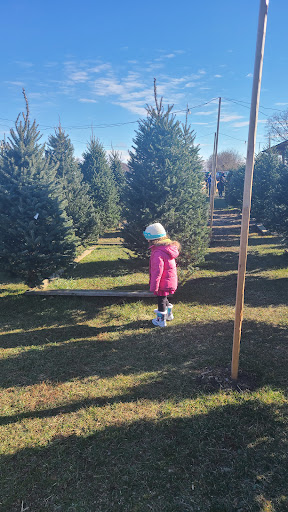 Christmas Tree Farm «Piney Acres», reviews and photos, 1115 E 1000 N, Fortville, IN 46040, USA