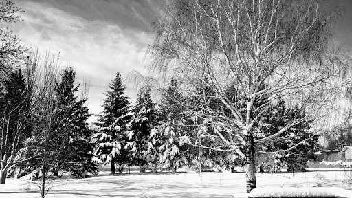 Golf Course «Prairiewood Golf Course», reviews and photos, 22 Prairiewood Dr S, Fargo, ND 58103, USA