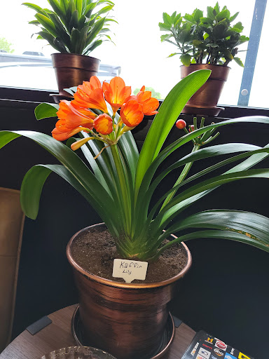 Auto Body Shop «Schroeder Body Shop LLC», reviews and photos, 623 McCarthy St, Howell, MI 48843, USA