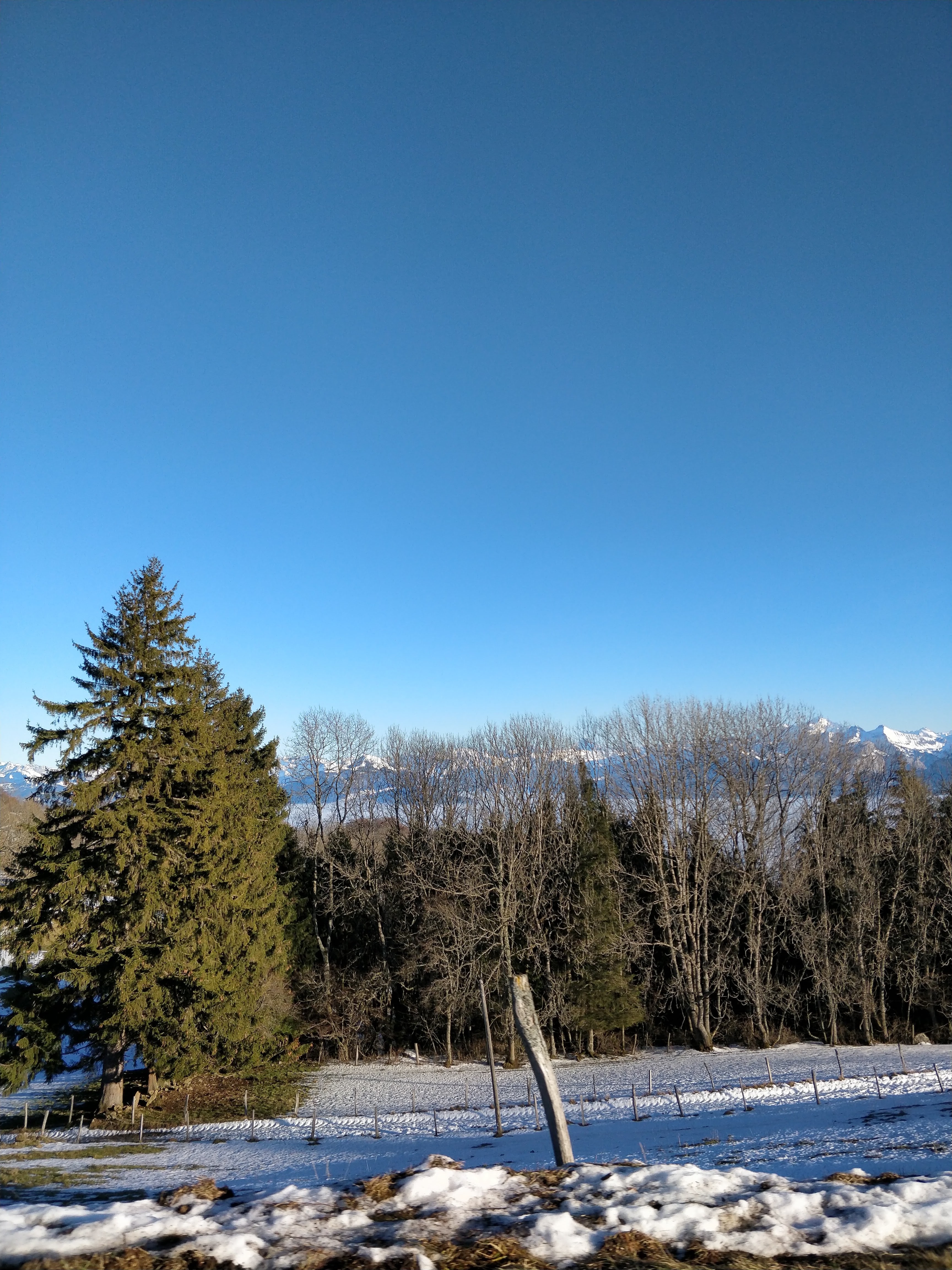 Photo n° 22 de l'avis de David.C fait le 02/01/2018 à 16:55