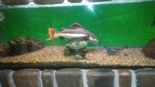 Pet Store «Tanks Pet Supply», reviews and photos, 628 S Main St, Princeton, IL 61356, USA