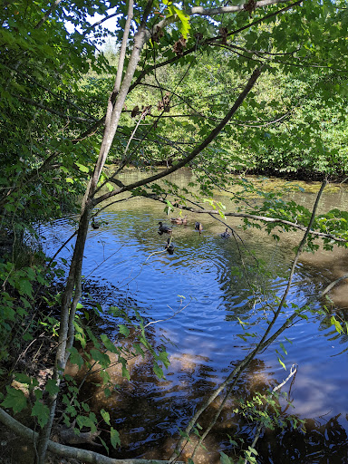 Park «Mansfield Park», reviews and photos, 85 Walker St, Massapequa Park, NY 11762, USA