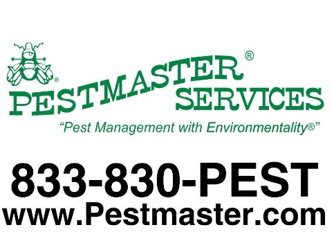 Pesmaster services of West Texas. - Pest Control Service in San Angelo