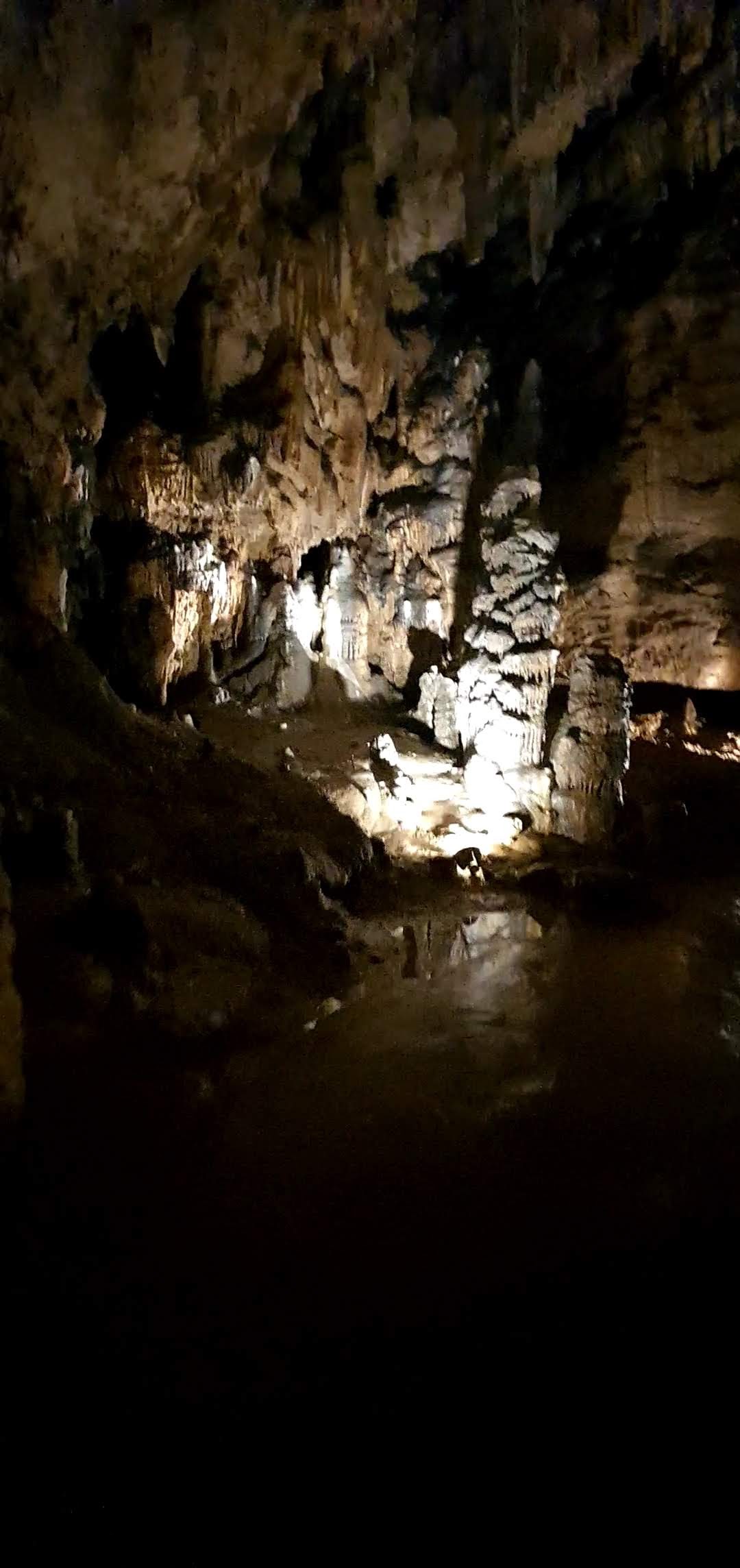 Photo n° 18 de l'avis de Emilie.z fait le 30/10/2020 à 21:33