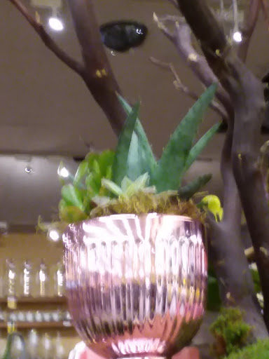 Grocery Store «Safeway», reviews and photos, 600 W Franklin St, Shelton, WA 98584, USA