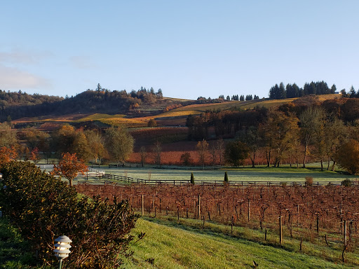 Winery «Zenith Vineyard», reviews and photos, 5657 Zena Rd NW, Salem, OR 97304, USA