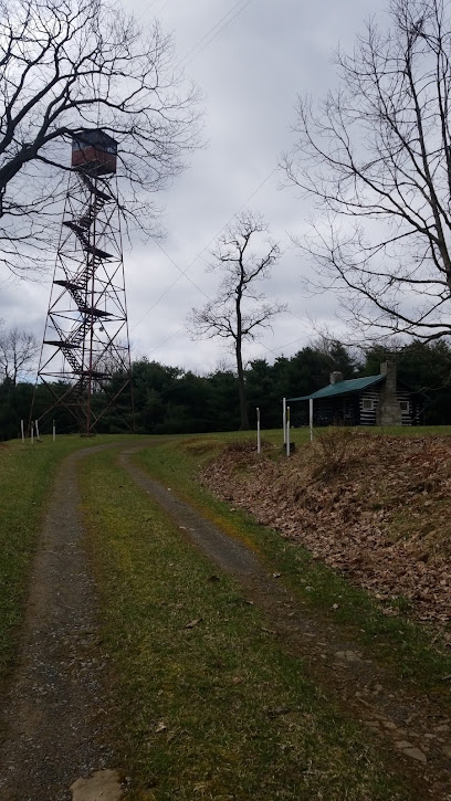 The Knobs Fire Tower