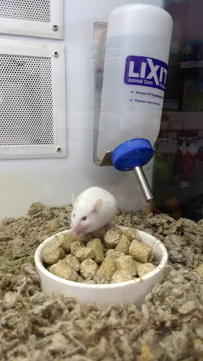 Pet Supply Store «Petco Animal Supplies», reviews and photos, 3731 Gateway Dr, Eau Claire, WI 54701, USA