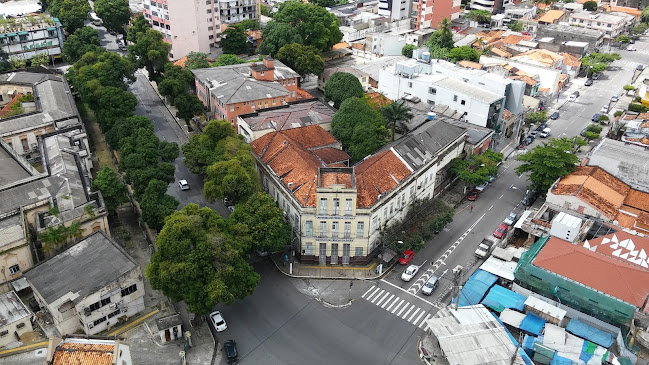 Instituto de Ciências da Saúde - ICS/UFPA