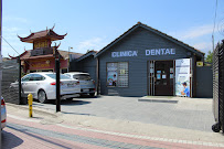 CEO Clinica Dental