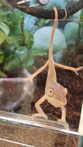 Pet Supply Store «Petco Animal Supplies», reviews and photos, 4915 E 41st St C, Tulsa, OK 74135, USA