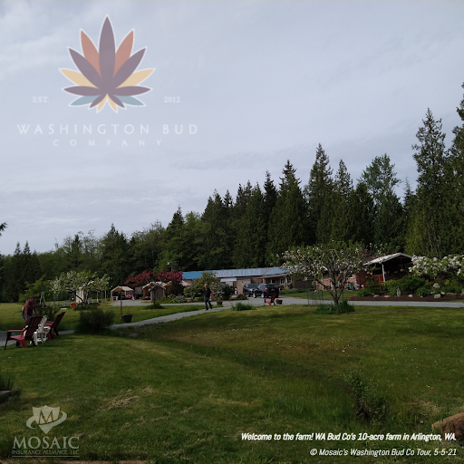 Insurance Agency «Mosaic Insurance Alliance LLC», reviews and photos