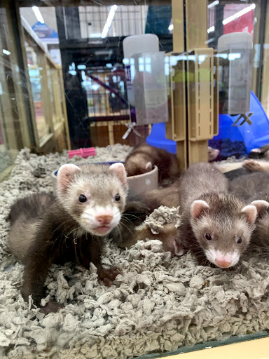 Pet Supply Store «Pet Supermarket, Inc.», reviews and photos, 598 N McCarran Blvd, Sparks, NV 89431, USA