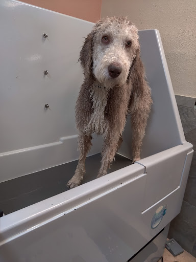 Pet Supply Store «Pet Food Gone Wild», reviews and photos, 2415 Southern Blvd SE, Rio Rancho, NM 87124, USA