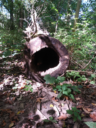 Park «Carter Park», reviews and photos, 1720 King Ave, Kings Mills, OH 45034, USA