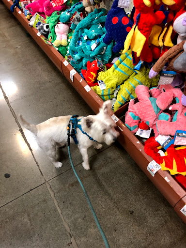 Pet Supply Store «PetSmart», reviews and photos, 100 108th Ave NE, Bellevue, WA 98004, USA