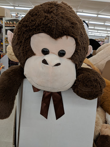 Discount Store «Ocean State Job Lot», reviews and photos, 30 Commercial St, Medford, MA 02155, USA