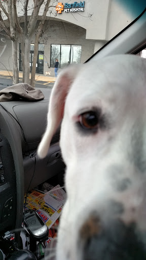 Pet Supply Store «PetSmart», reviews and photos, 1110 Hospitality Dr, Rock Hill, SC 29730, USA