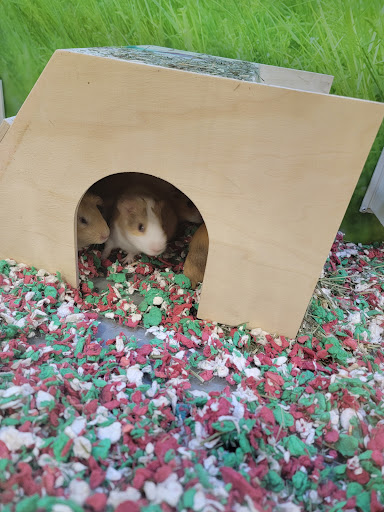 Pet Supply Store «PetSmart», reviews and photos, 1986 Mt Zion Rd, Morrow, GA 30260, USA