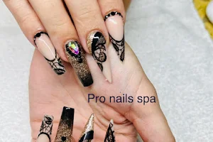 Pro Nails Spa image