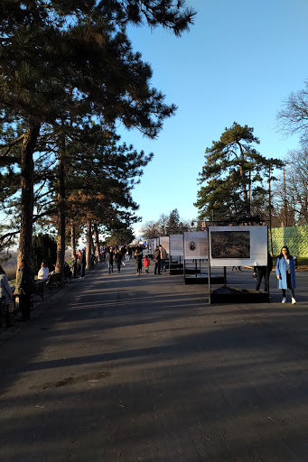 Kalemegdan