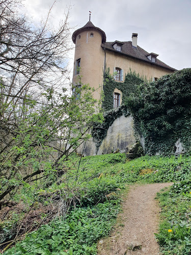 Schloss Wildenstein - Liestal