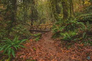 Denny Creek trailhead image