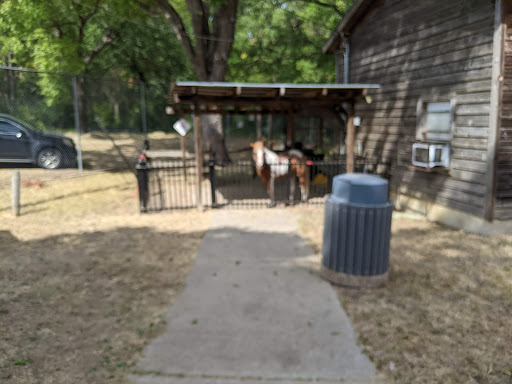 Zoo «Fritz Park Petting Farm», reviews and photos, 312 E Vilbig St, Irving, TX 75060, USA