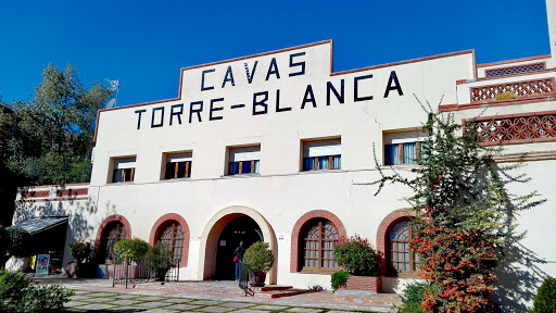 Caves Torre-Blanca - Llàgrima d'Or en Sant Sadurní d'Anoia