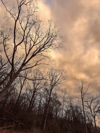 Nature Preserve «Shoe Factory Road Prairie Nature Preserve», reviews and photos, Shoe Factory Rd, Hoffman Estates, IL 60192, USA