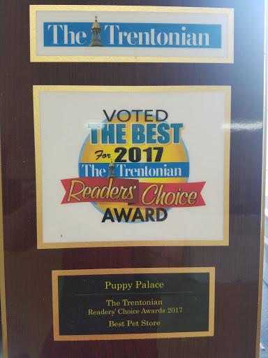 Pet Store «Puppy Palace», reviews and photos, 1250 US-130, Trenton, NJ 08638, USA