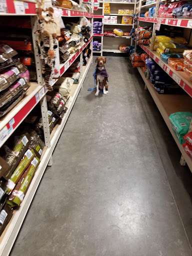 Home Improvement Store «Tractor Supply Co.», reviews and photos, 8135 Brookville Rd, Indianapolis, IN 46239, USA