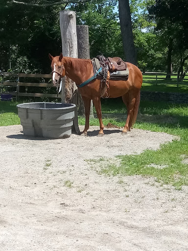 Tourist Attraction «C and L Stables», reviews and photos, 1095 Ives Rd, East Greenwich, RI 02818, USA