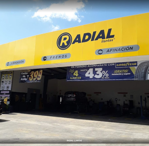 RADIAL LLANTAS 60 Norte