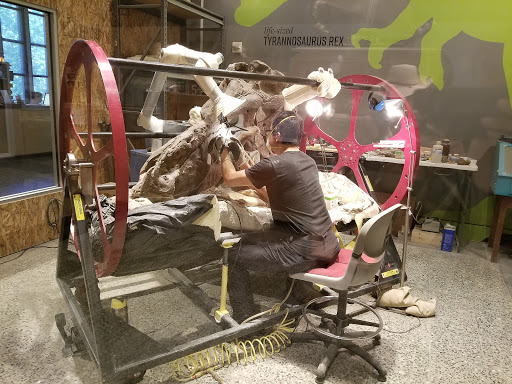 Natural History Museum «Burke Museum of Natural History and Culture», reviews and photos, 1413 NE 45th St, Seattle, WA 98105, USA